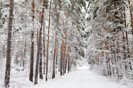 road in the winter snowy forest woodsの写真素材
