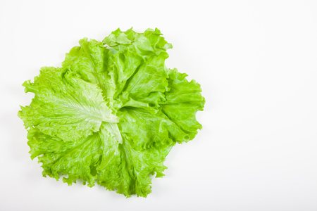 Green lettuce leaves on white backgroundの写真素材