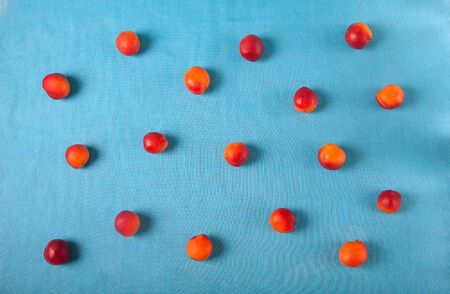 Ripe apricots on a blue background. Close up. Apricot pattern. Top view, flat lay