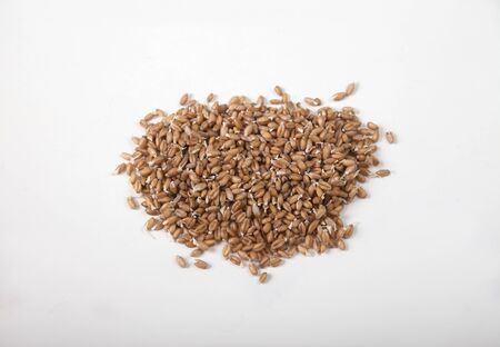 Sprout of wheat in clay bowl Isolated on white backgroundの写真素材