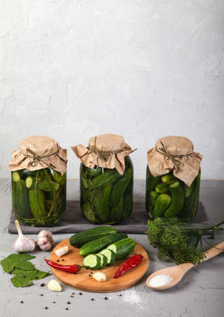 Big Jar with fermented cucumbers, salt in a wooden spoon and seasonings on a concrete background.の写真素材