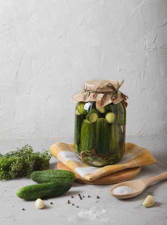 Big Jar with fermented cucumbers, salt in a wooden spoon and seasonings on a concrete background.の写真素材