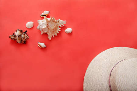 Several sea shells and a hat lie on a pink background