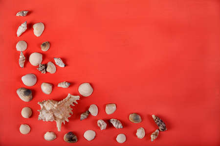 A large shell and small seashells are beautifully scattered against a red background. Copy spaesの写真素材