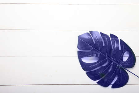 Palm leaves and monstera lilac trend color on a white background. Very deri.の写真素材
