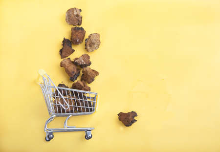 Pieces of chaga mushroom in a grocery cart on a yellow background. Healthy vegetarian food. copy...