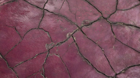 Cracks in the ground as a background. Texture of cracked earthの素材
