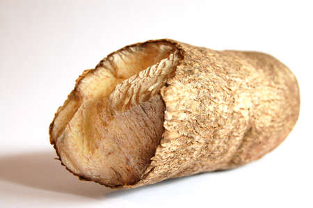 This is an image of a tube of yam.