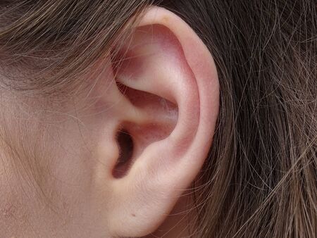 Ear, auricle and earlobe of a woman in close-upの写真素材