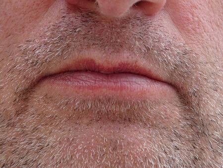 Lower part of man face with mouth, lip, chin and beard