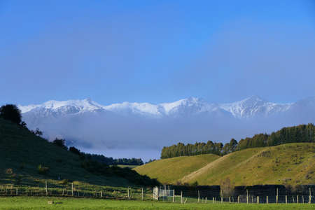 Spectacular view of the New Zealand snowy Alps behind the sheep pastures in the Canterbury region