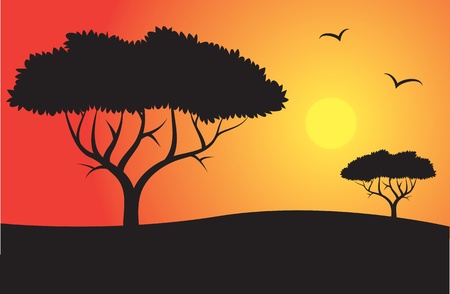 Safari Silhouette with trees and sun のイラスト素材