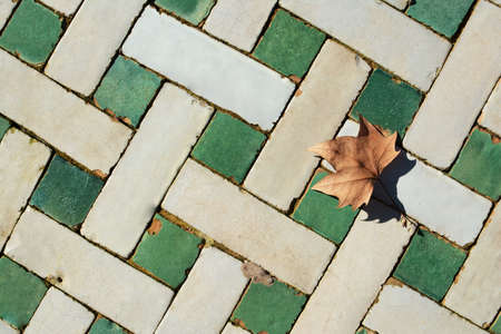 Lonely leaf on colorful tiles in Fes, Morocco on sunny day.
