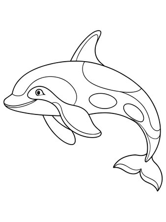 Orca Outline Illustration For Coloring Book Or Educational Material Creative Sea Life Drawing For Learning Funのイラスト素材