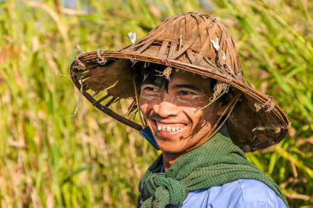 Young Shepherd Boy Cows - Myanmarのeditorial素材