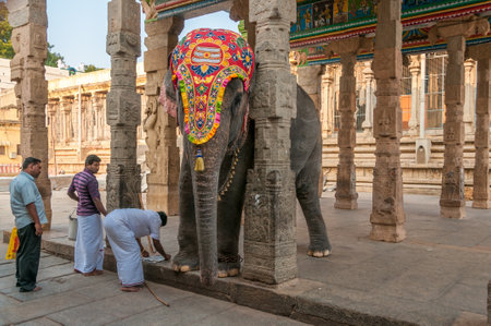 Elephant of Meenakshi Temple - Maduraiのeditorial素材