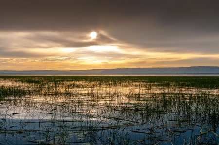 Evening view at lake Awasa in Ethiopia  の写真素材