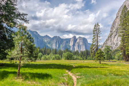 Yosemite Valley Meadows Yosemite National Parkの写真素材