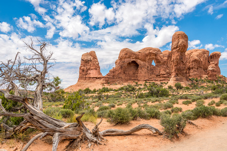 Parade of Elephants in the Arches National Parkの写真素材
