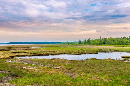 View at the lagoon in Canadian National Park Kouchibouguac