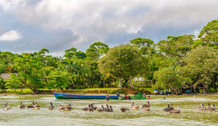 RIO DULCE, GUATEMALA - MARCH 8,2019 - Fishermen work on Rio Dulce. The Rio Dulce National Park is in the department of Izabal in Guatemala.のeditorial素材