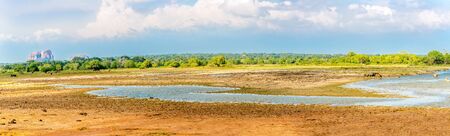 Panoramic view at the fauna and flora in Yala National Park - Sri Lankaの写真素材