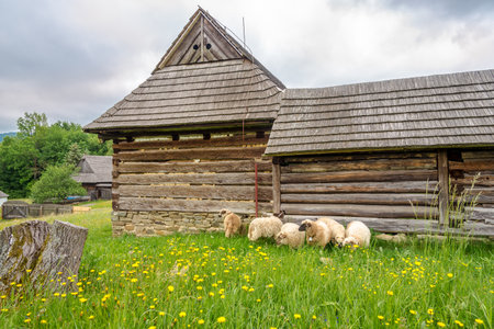 SVIDNIK,SLOVAKIA - JUNE 9,2020 - View at the Wooden Houses in Saknsen near Svidnik town. The open-air museum houses the architecture of a Slovak village.のeditorial素材