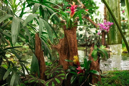 Tropical Plant Arrangement Near Water Garden Exotic Nature Design