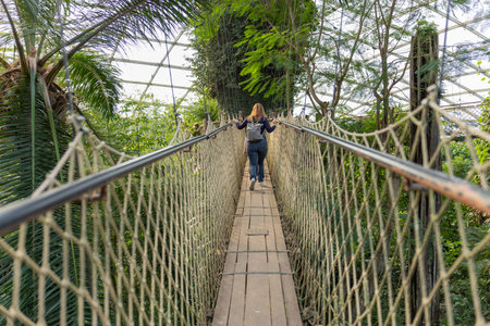 Woman Walking on Suspension Bridge in Tropical Greenhouseの写真素材