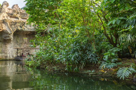 Boat Ride Through Tropical Jungle River Near Cave Entrance Adventure Travel Conceptの写真素材