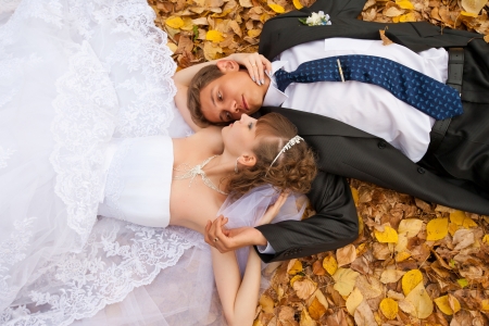 wedding theme, the bride and groom are in the maple leaves on grassの写真素材