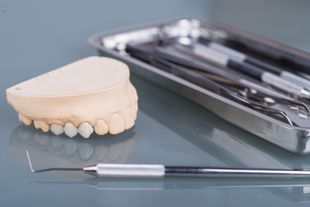 Dental gypsum models in dental laboratoryの写真素材