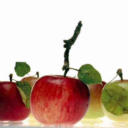 fresh farm apples