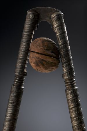 vintage nutcracker crushing a walnutの写真素材