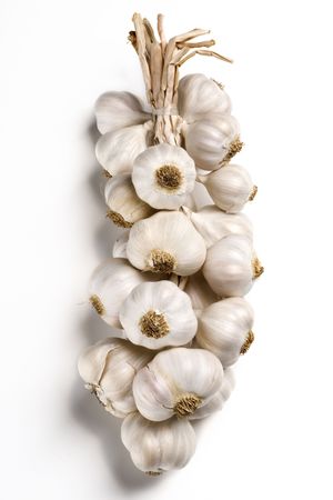 bunch of  garlic bulbs on whiteの写真素材