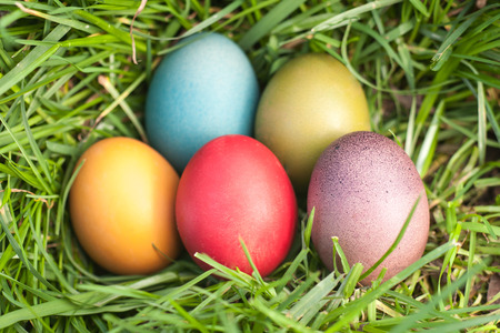 Five easter eggs in the green grassの写真素材