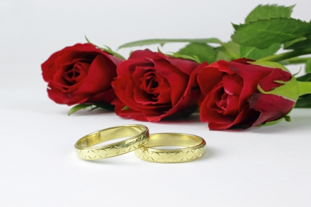 wedding rings and roses on the white backgroundの写真素材