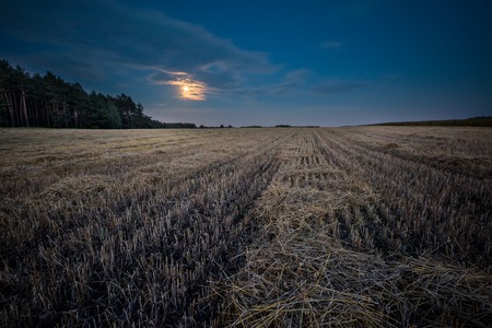 Field landscape under rising moonの写真素材