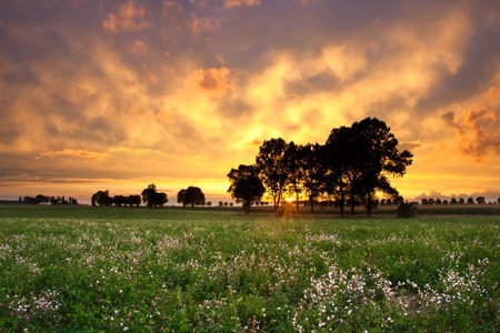 Beautiful sunset with dramatic sky on field or meadowの写真素材
