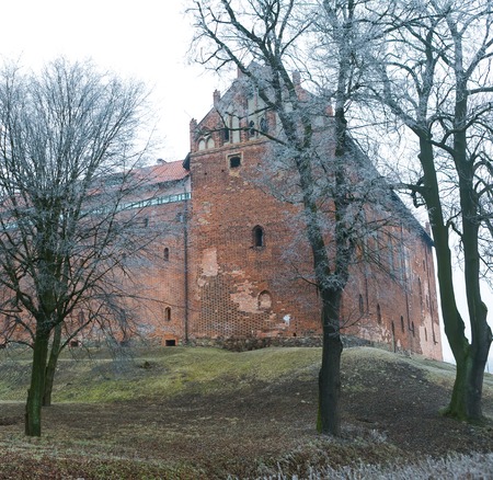 Old destroyed crusader's castle in poland, Dzialdowoのeditorial素材
