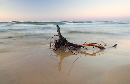 tranquil colorful landscape of sea coast (Baltic sea) photographet at sunsetの写真素材