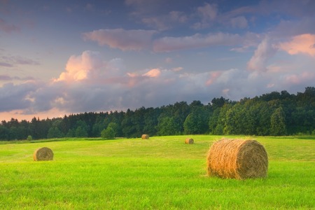 Beautiful meadow with bales of hay at sunset
