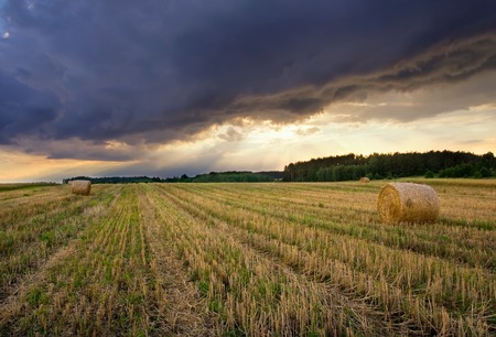 Stubble field in sunset light with straw bales