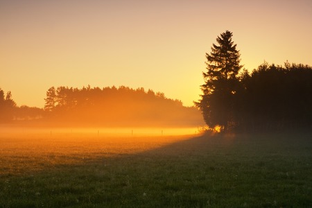foggy morning on meadow. rural summertime landscapeの写真素材