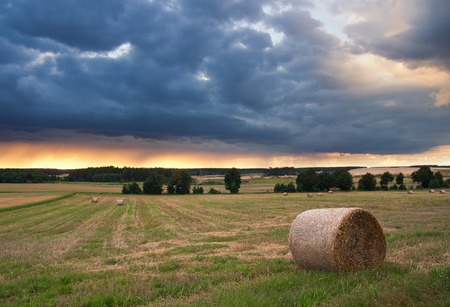 Stubble field in sunset light with straw balesの写真素材
