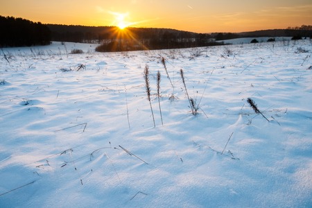 Beautiful winter field covered by snow and distant trees in tranquil landscapeの写真素材
