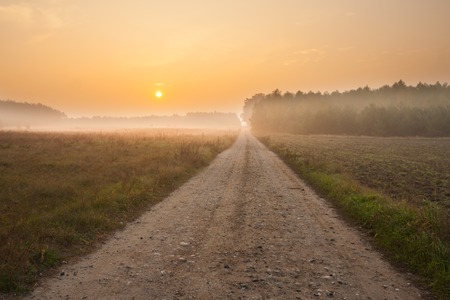 Beautiful landscape with rural sandy road at sunriseの写真素材