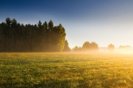 Foggy sunrise over beautiful polish meadow, late spring or summerの写真素材