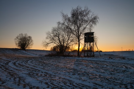 Beautiful winter field covered by snow and distant trees in tranquil landscapeの写真素材