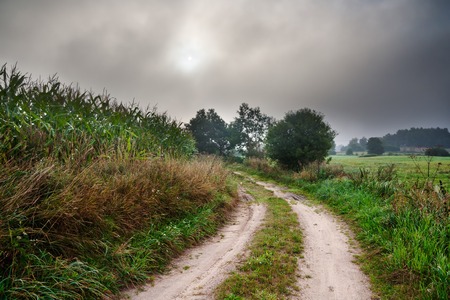 Beautiful landscape with rural sandy road at sunrise